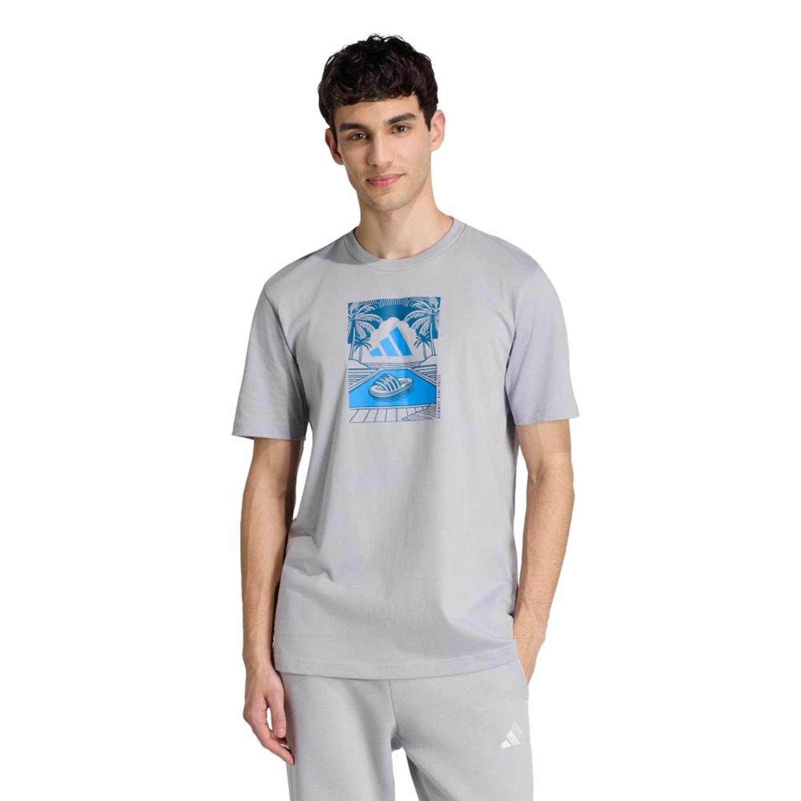 CAMISETA ESTAMPADA SUMMER SLIDES RELAX adidas Sportswear Cinza
