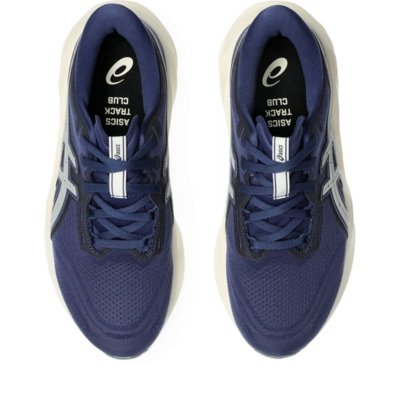 Tênis ASICS Novablast 5 Atc - Feminino - Azul/Cinza