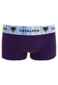 Roxo