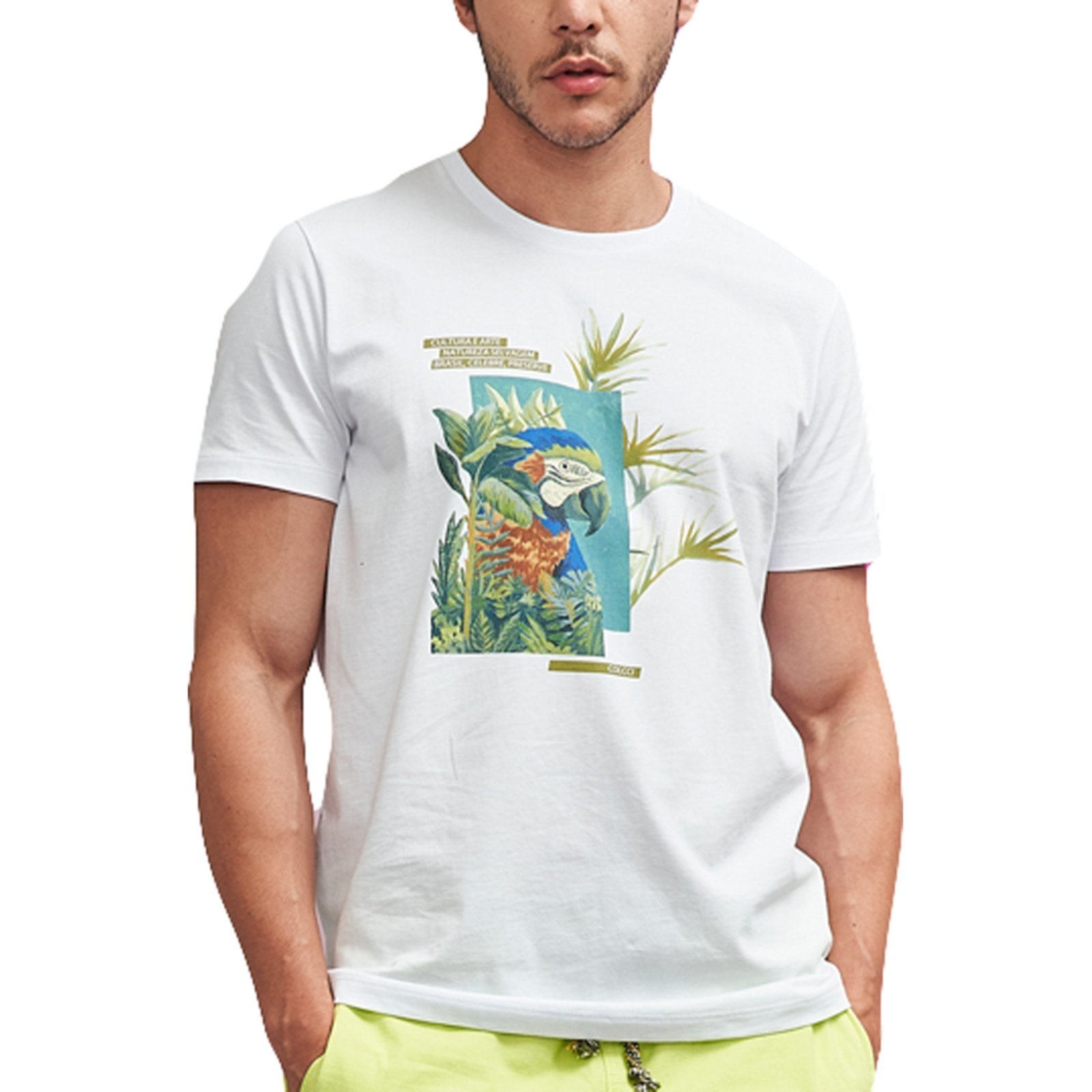 Camiseta t shirt colcci estampada masculina