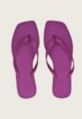 Roxo