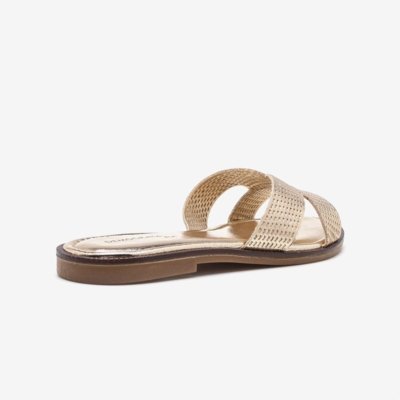 Rasteirinhas Democrata Casual Dourado