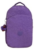 Roxo