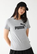 Cinza