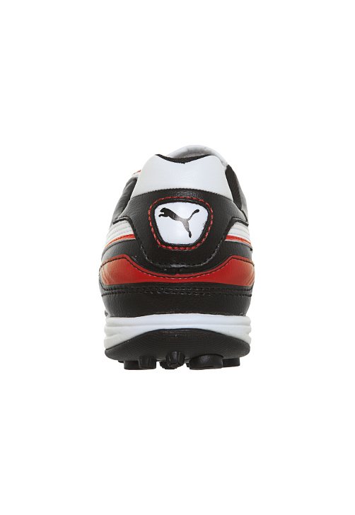 puma esito tt