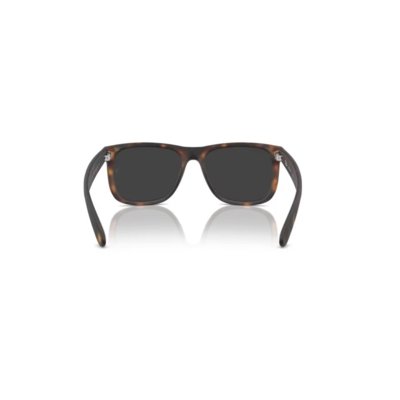 Oculos Solar Ray-Ban Rb4165 865/8755