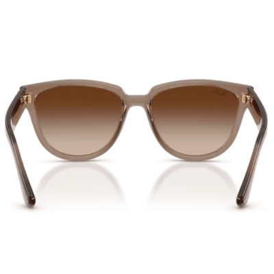 Oculos Solar Ray-Ban Rb4463l 67371356
