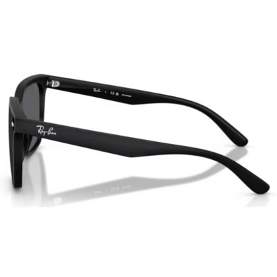 Oculos Solar Ray-Ban Rb4466d 601s8147