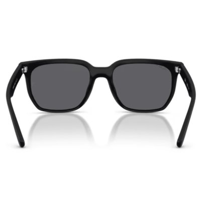 Oculos Solar Ray-Ban Rb4466d 601s8147