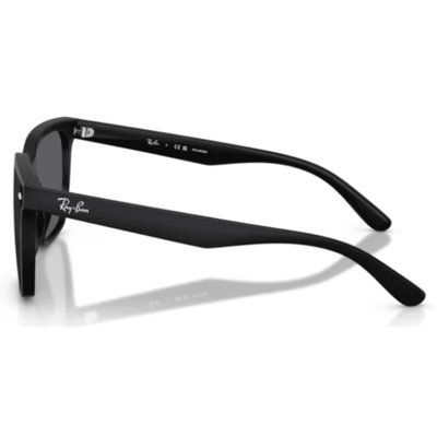 Oculos Solar Ray-Ban Rb4466d 601s8147