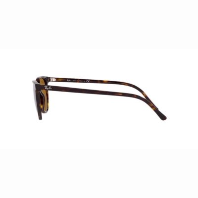 Óculos de Sol Ray-Ban Elliot