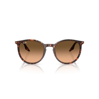 Óculos de Sol Ray-Ban RB2204