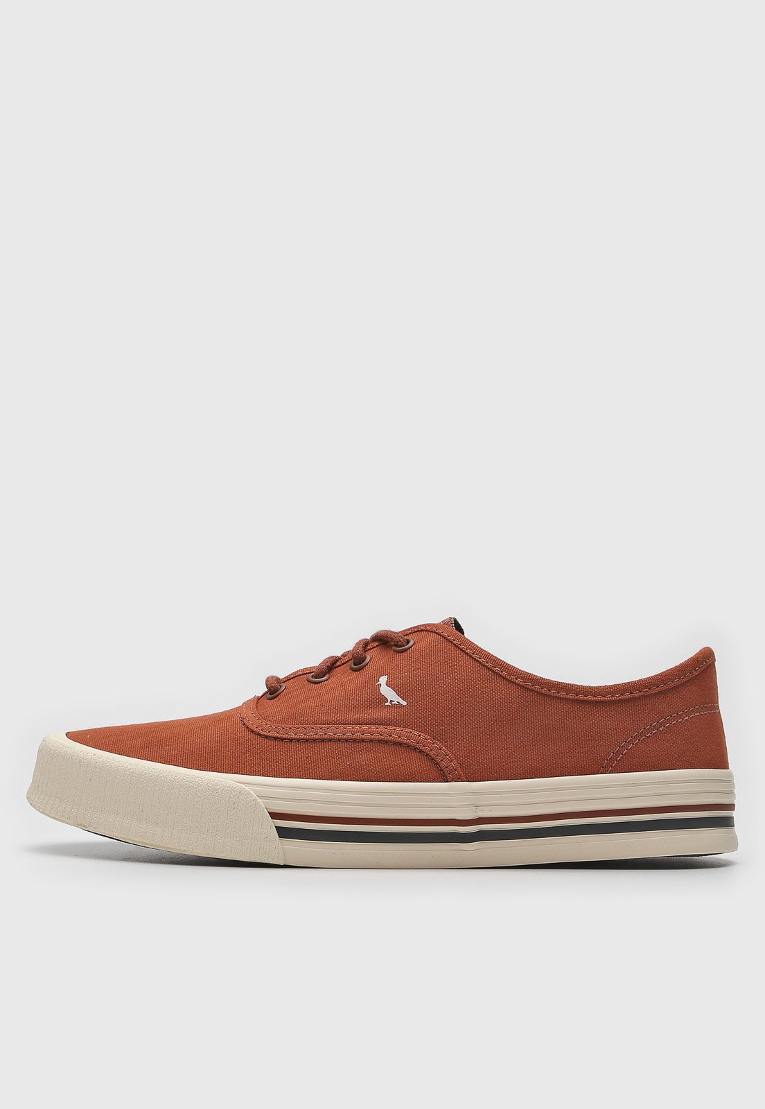 Sapatenis lacoste hot sale caramelo liso