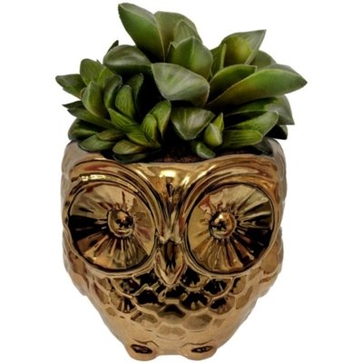 Cachepot Urban Home de Cerâmica Dourado Coruja n Menor preço em Cachepot Urban Home de Cerâmica Dourado Coruja n