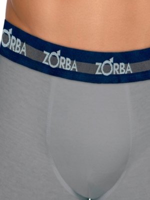 Cueca Boxer Zorba 702