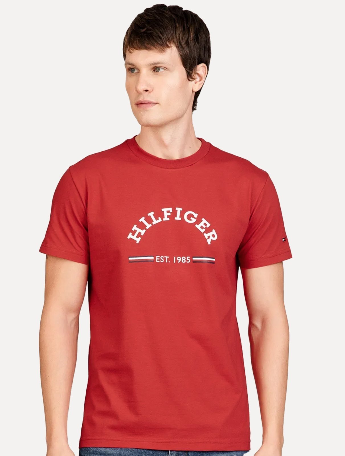Camiseta Tommy Hilfiger Masculina Monotype Logo Arched Vermelha Camiseta Tommy Hilfiger Masculina Monotype Logo Arched Vermelha